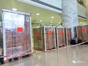 貴醫(yī)附院收到一個(gè)包裹,里面裝了個(gè) 達(dá)芬奇