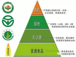政策重磅！決定農(nóng)化行業(yè)未來十年走向的國家級政策與人工智能雙創(chuàng)服務(wù)平臺(tái)